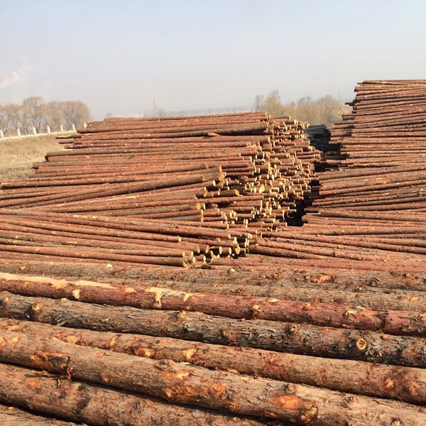 1535060349428580.jpg thumb_1465191716104825.jpg